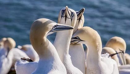 广州品茶空间推荐